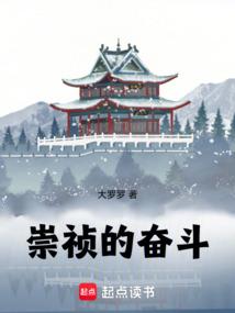 崇祯的奋斗！